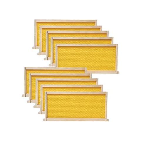 HENSITA Auqatur BeeCastle 10-Pack Waxed Foundation with Complete Unassembled Commercial Frames, 6-1/4-Inch Cover