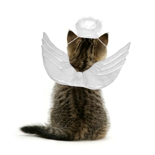 Disfraz Halloween Alas de Ángel para Perro Pequeño L miniatura 3