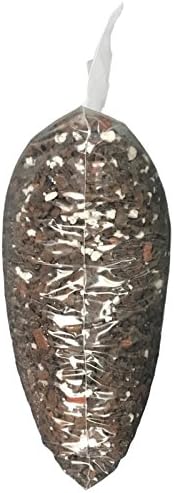 Dendrobium Imperial Orchid Mix (Standard Bag)