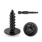 Dayalo 50 pezzi viti per lamiera 3,9 x 13 mm, testa piatta con rondella viti per legno Torx, acciaio inox A2 V2A, ossidazione nera, con punta per cacciavite