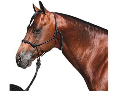 Professionals Choice Halter Clinician with 15' Nylon Lead Black HRC