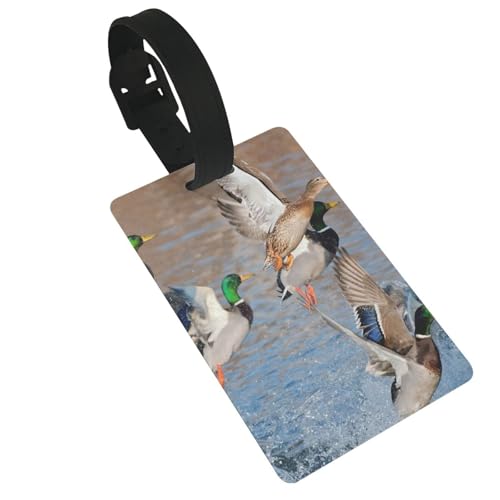 �ו� �����h�~ �X�[�c�P�[�X�^�O �A�q����� �l�[���^�O ���s �� �g���x���l�[�� ���s�Ή� �x���g�t�� �J�o������