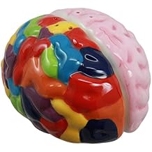 Ebros Gift Colorful Right And Left Brains Magnetic Ceramic Salt And Pepper Shakers Figurine Collectible Set Academic Neuro Lobotomy Themed Brain Anatomy Accent