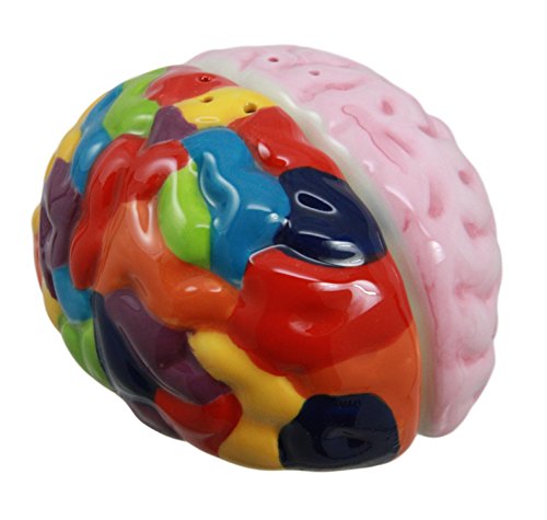 Ebros Gift Colorful Right And Left Brains Magnetic Ceramic Salt And Pepper Shakers Review: A Quirky Kitchen Accessory?
