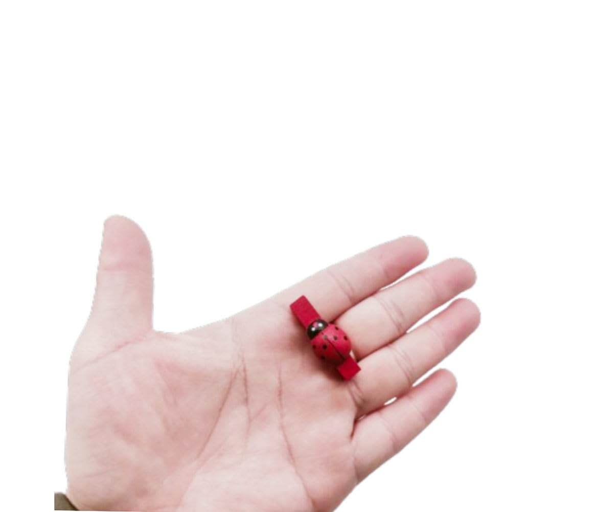 72 Mollette Legno Con Coccinelle - 25mm, Per Decorazione, Bomboniere, Fai Da Te, Matrimoni