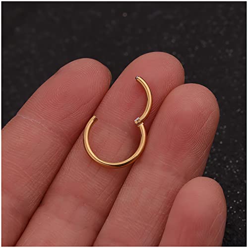 Unisex Dainty Tiny 18K Real Gold Plating Cartilage Huggie Hoop Earrings, 16G Surgical Steel Small Endless Hinged Hoops Earring For Earlobe Cartilage Helix Rook Daith Conch Nose Lip Body Piercing Jewelry (Gold 6/8/10Mm) #TOP3