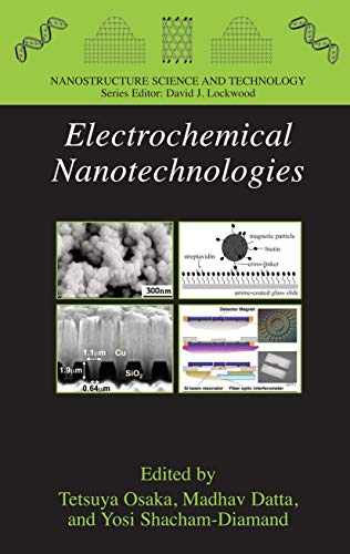 Preisvergleich Produktbild Electrochemical Nanotechnologies (Nanostructure Science and Technology)
