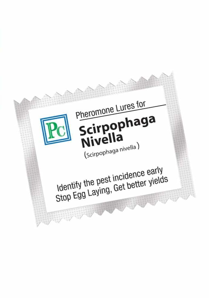 Replacement Lures for Scirpophaga nivella (White Rice Moth Recommended for Rice - 10Pack Note : Lure Works for 30-45days-image-16