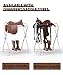 Queension Foldable Saddle Rack for Horse Stable Equipment, Portable Horse Saddle Stand with Bottom Storage for English & Western Saddles, Saddle Pad Rack for Horse tack, Horses Blanket, White