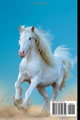 Gypsy Horse Notebook For Horse Lovers: Composition Notebook 6x9" Blank Lined Journal - Image 2