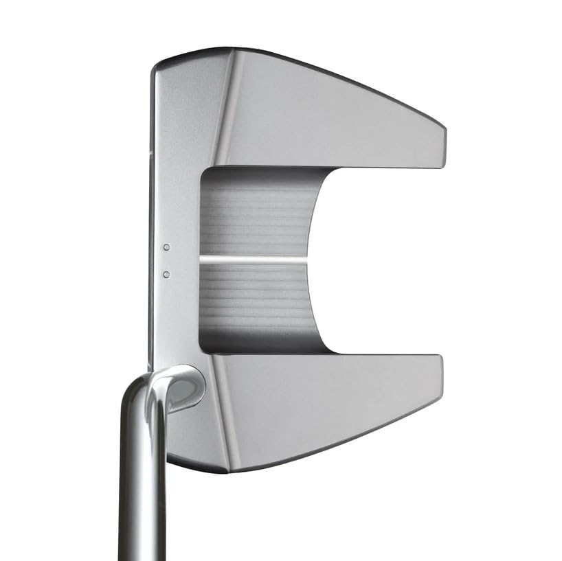 Evnroll Putters Women's Golf Neo Classic ER5 Mallet Satin Silver Golf Putter, Right Hand, 33