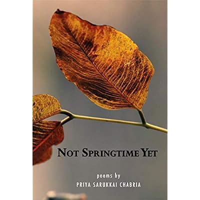 Not Springtime Yet
