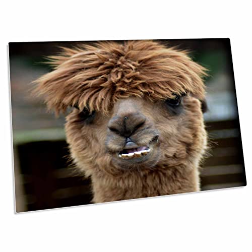 Alfombrilla para escritorio Laughing Lama 58.4x40.6 cm