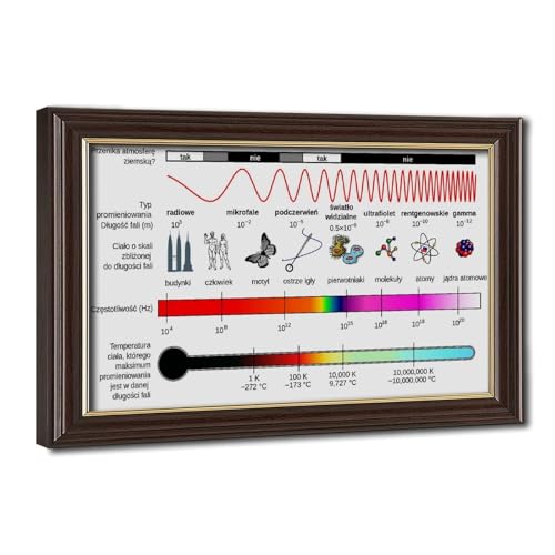 Spectre électromagnétique décoration murale bureau cadre suspendu toile 20x30