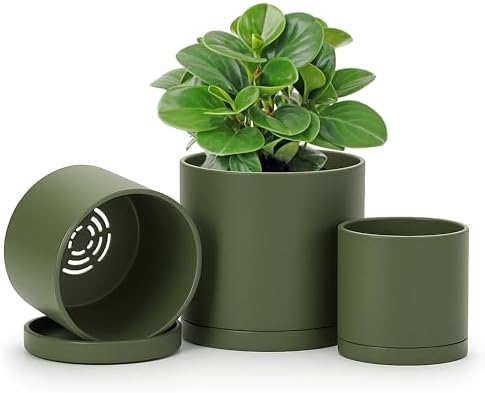 D'vine Dev 4 Inch 5 Inch 6 Inch, Set of 3 Plastic Planter Pots fo...