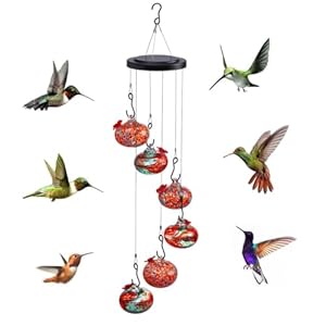 Wind Chimes Hummingbird feeders,Hummingbird feeders for Outdoors Hanging ant and bee Proof,Glass Window Bird feeders with 6 Glass Balls,Perfect for Garden Decor (6 Balls-Orange&Green)