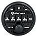 Rockville RGHR51 5 Zone Single Din Marine Receiver Bluetooth/Radio/Wired Remote