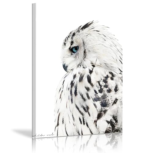 Affiche toile hibou peinture moderne décoration murale grand format cadre intérieur