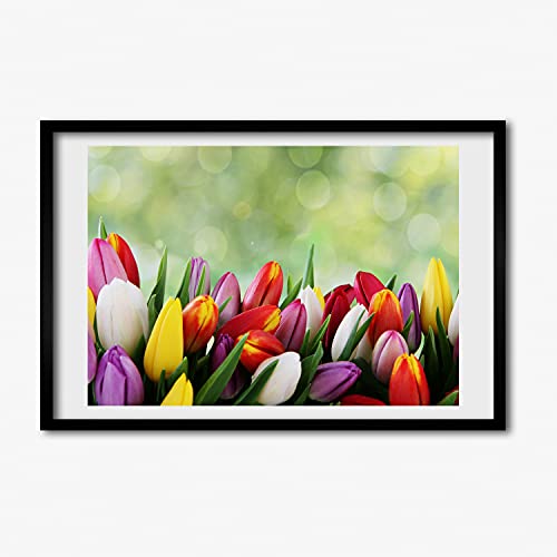 Tableau moderne Tulup de tulipes colorées pour illuminer votre salon 60x40