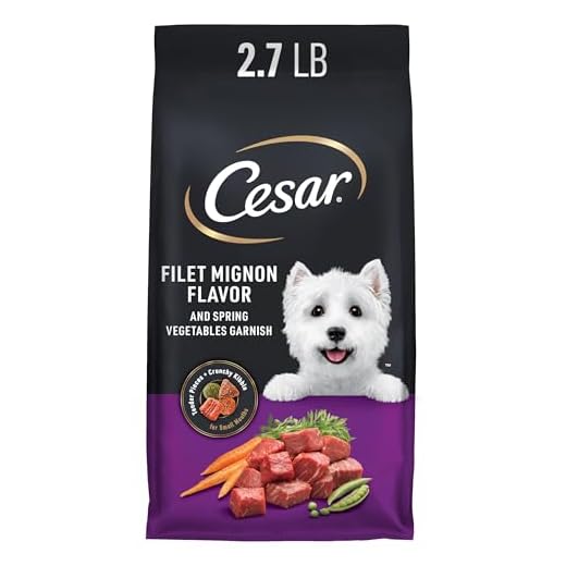 Cesar Small Breed Dry Dog Food for Small Dogs, Filet Mignon Flavor and Spring Vegetables Garnish, 2.7 lb Bag