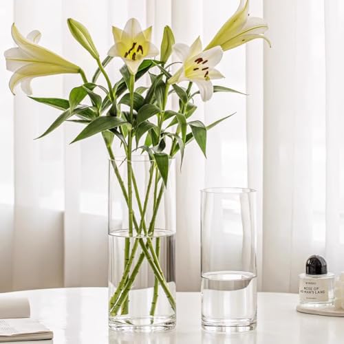 Olrla Transparent Acrylic Flower Vase, Shatter-Proof Plastic Cylinder Vase for Flower arrangement, Wedding Centerpieces, DIY (20x10 and 25x12 and 25x15cm)