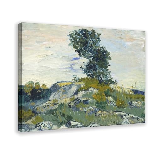 Poster The Rocks Vincent Van Gogh toile avec cadre 50x75 cm pour chambre