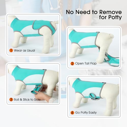 Image of Lelepet Dog Surgery Recovery Suit Onesie for Female Spay & Male Neuter 2XL