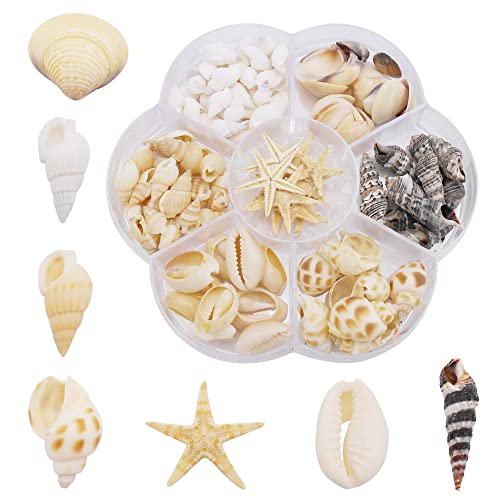 120pcs coquillages mixtes étoiles de mer coquillages naturels pour la plage thème fête décorations de mariage bricolage artisanat fabrication de bougies réservoir...