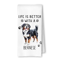 Bernese Life is Better
