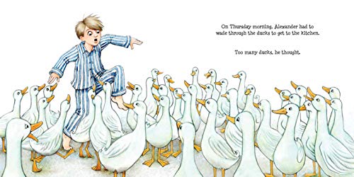 Too Many Ducks