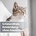 Felisept Mikro Silberspray für Katzen 75ml - Silberspray Katze gegen Juckreiz, Wundspray Katzen, Schmerzfrei & ohne Aluminium & kolloidales Silber, Einfache Anwendung
