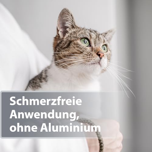 Felisept Mikro Silberspray für Katzen 75ml - Silberspray Katze gegen Juckreiz, Wundspray Katzen, Schmerzfrei & ohne Aluminium & kolloidales Silber, Einfache Anwendung