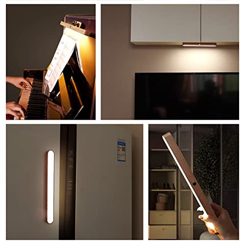 image for PrimaevalColossus LED Wall Lamps LED Wall Sconces LED Wall Mounted Lam