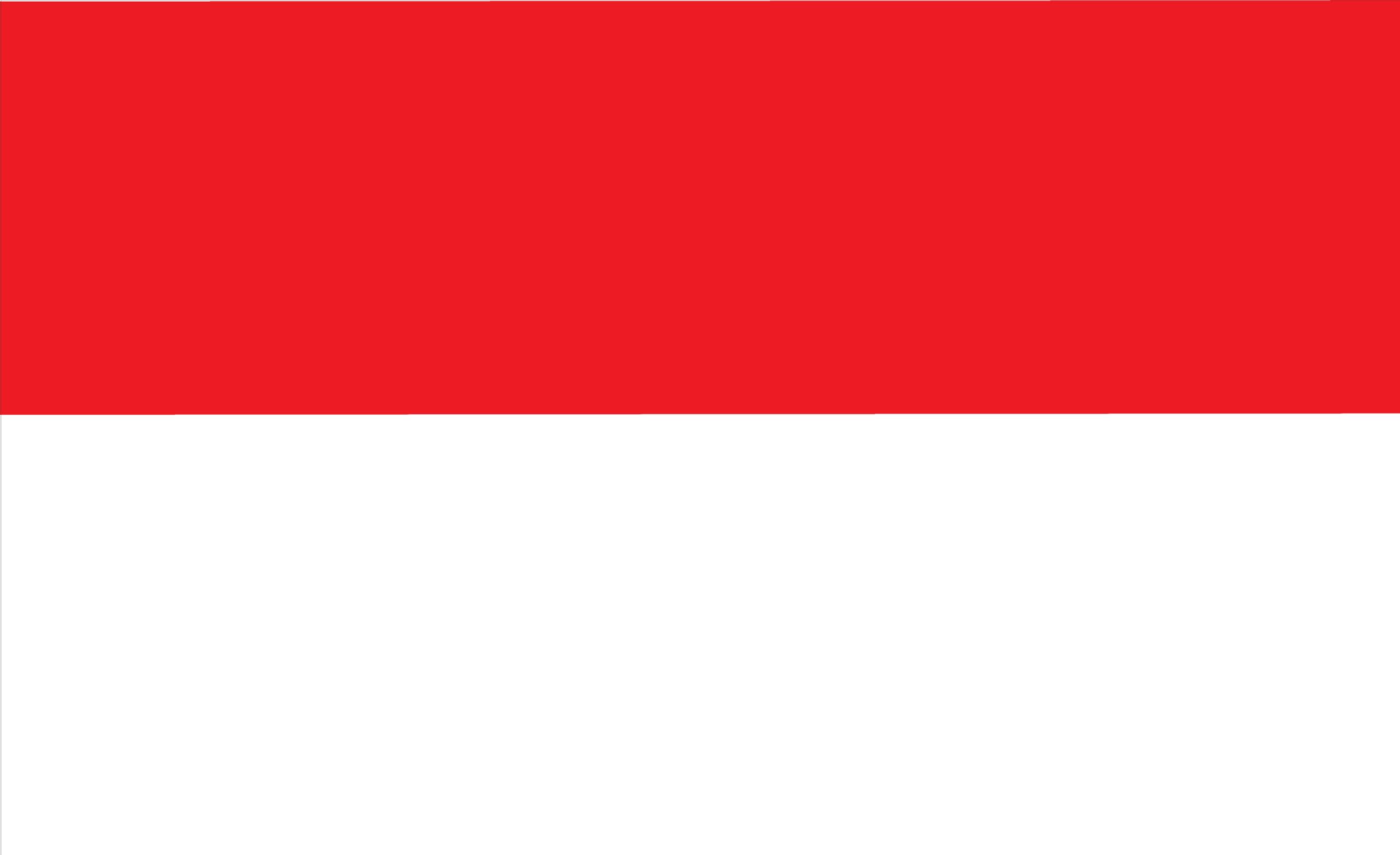 Drapeau de l'Indonésie anti-effilochage rouge et blanc marine pour mât extérieur
