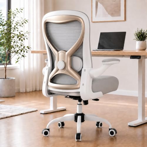 Ergonomic Home Office Chair 4Way Lumbar Thick Cush Review