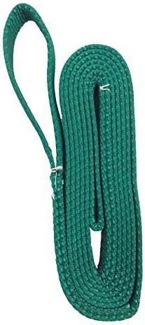 1x4' Lifting Nylon Sling 2-Ply