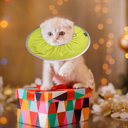 Cono suave para gatos para evitar lamer heridas con collar ajustable 3