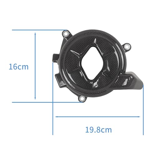 Couvercle carbone boîtier moteur gauche pour balades en Panigale V4 - 3