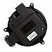 Motorcraft Blower Motor