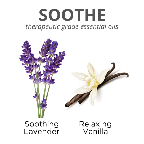 Soothing Hemp Lavender Vanilla Aromatherapy Reed Diffusers | Therapeutic Grade Essential Oils | 10 Reed Diffuser Sticks And 4 Oz Bottle | Home Fragrance | Hand Made In The Usa #TOP1