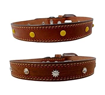 Forever99 Pet Shop Studded Leather Dog Collar Neck Belt for All Stage Breeds Extra Large 21 to 24 inch Neck for fit Combo Pack 2 Art#-119