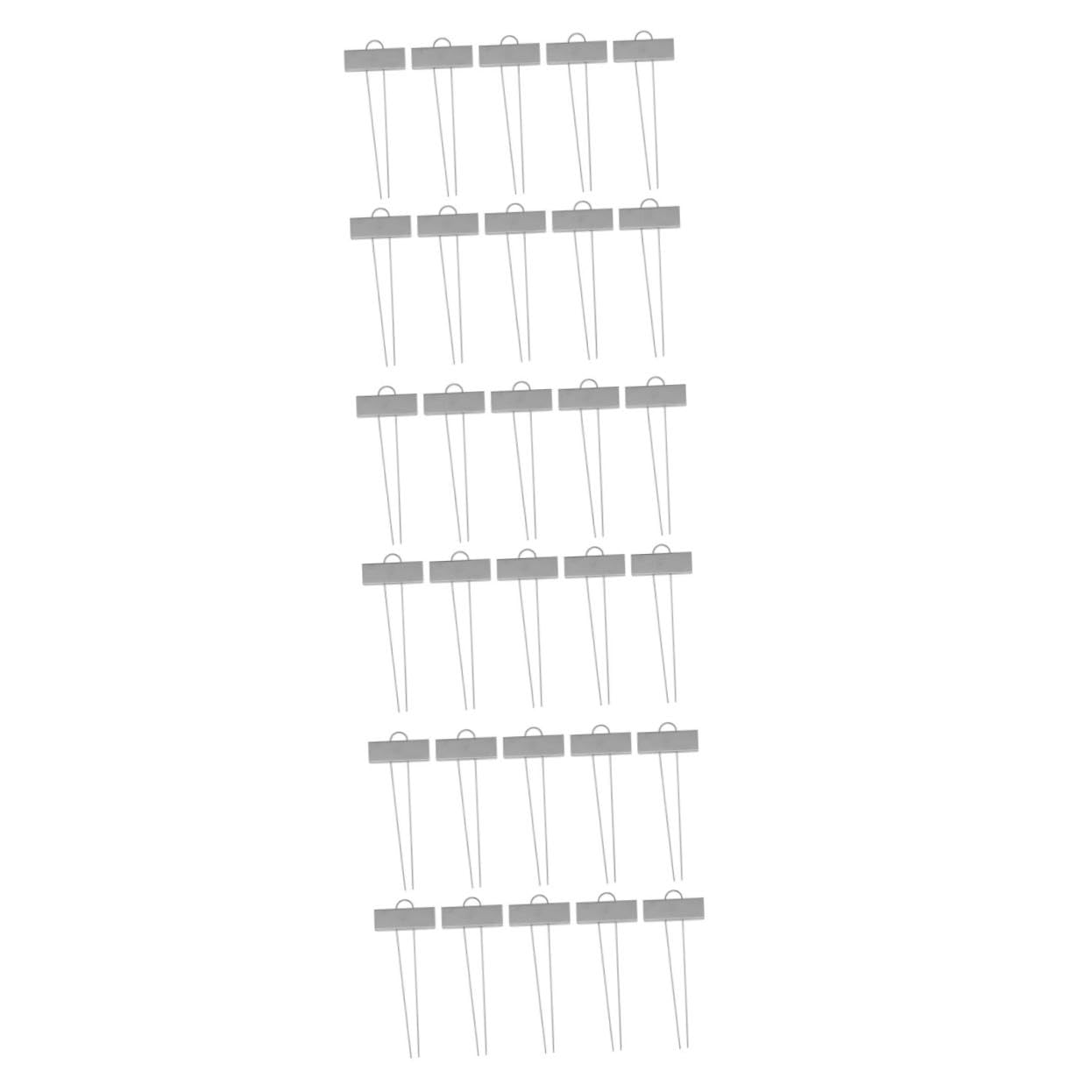 Toddmomy 30pezzi Etichette Acciaio Inossidabilper Giardinaggio Tag Resistente Per Piante Etichette Metallichper Bonsai e Argento