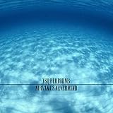  VSQ Performs Nirvana\'s Nevermind