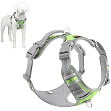 Plutus Pet No Pull Dog Harness, Release at Neck, Reflective Adjustable Dog Vest Harness, Easy Control Handle for Walking, for Small Medium Large Dogs, Green, S