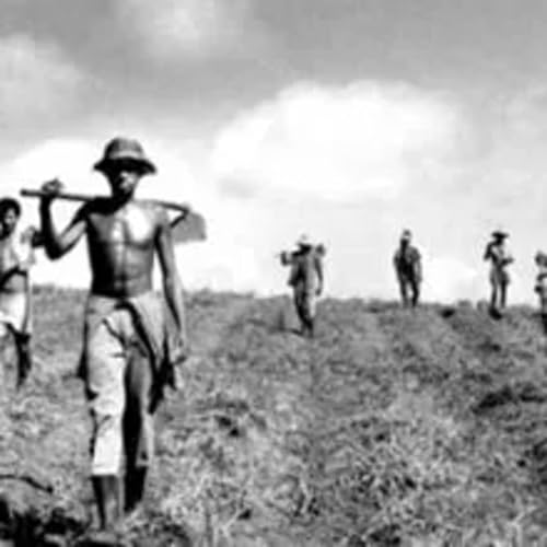 EP28 - A Reprodu&ccedil;&atilde;o Camponesa como Elemento da Quest&atilde;o Agr&aacute;ria em Alagoas