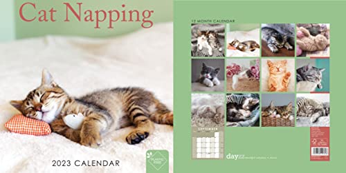 2023 Cat Napping Square Hanging Wall Calendar - No Plastic - 12" X 12" Planner, Animal Lover, Feline, Organizer, Home, Family, Schedule, Agenda, Gift #TOP4