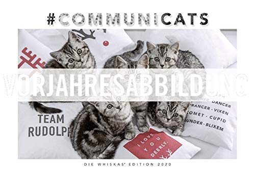 Télécharger Whiskas Katzenkalender 2021: Jubileo! PDF