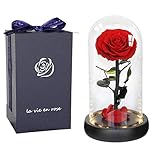 🌹 【REGALO IDEAL】 Rosa, símbolo de amor y belleza, regalos san valentin para mujer, regalos dia de la madre, regalos madres cumpleanos, aniversario, Navidad, boda, etc.