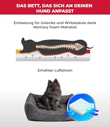 HS-Hundebett® Kuschelbett Deluxe Cord XS (50x70 cm) – Orthopädisches Hundebett für kleine Hunde – Memory Foam, waschbar, rutschfest – Anthrazit – Made in Germany