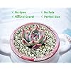 2lb Succulents and Cactus Green Zeolite, Décor & Additive Rocks, Natural Decorative Gravel for Bonsai, Fairy Gardening, DIY Projects, Vases Fillers, Terrarium